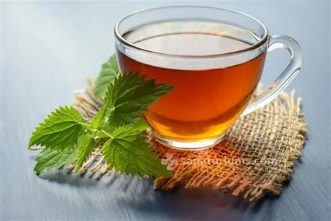يفيد الشاي مع النعناع في بعض حالات المغص والاسهال